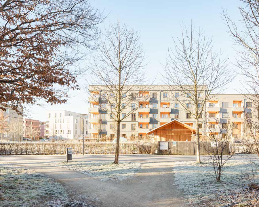 Genossenschaftlicher Wohnungsbau 'Gemeinsam Freiham', Blick von Aubing über den Grünstreifen in Richtung Westen 2025